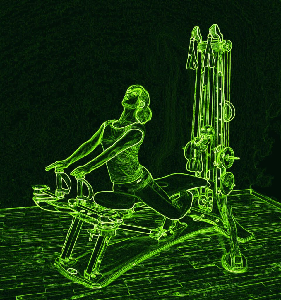 Gyrotonic Arch Iguana Gyrotonic Arch Iguana